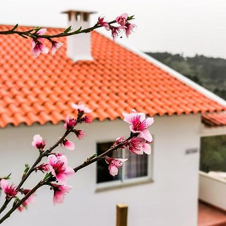 Willa O Refugio Coimbra Zewnętrze zdjęcie