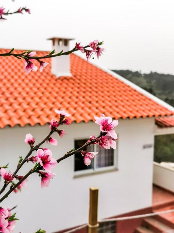 Willa O Refugio Coimbra Zewnętrze zdjęcie