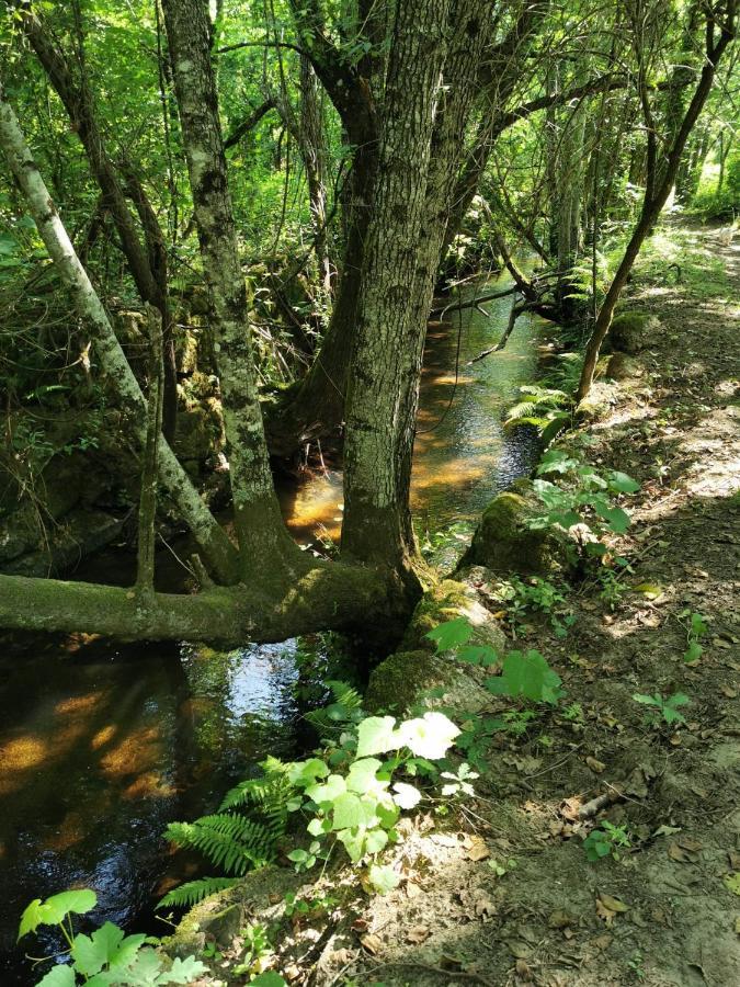 Willa O Refugio Coimbra Zewnętrze zdjęcie