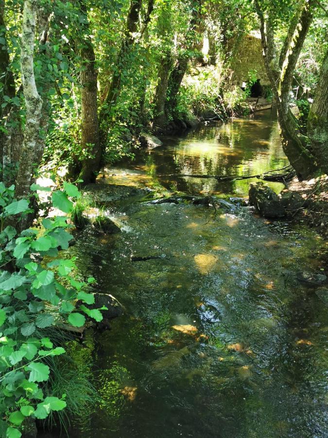 Willa O Refugio Coimbra Zewnętrze zdjęcie
