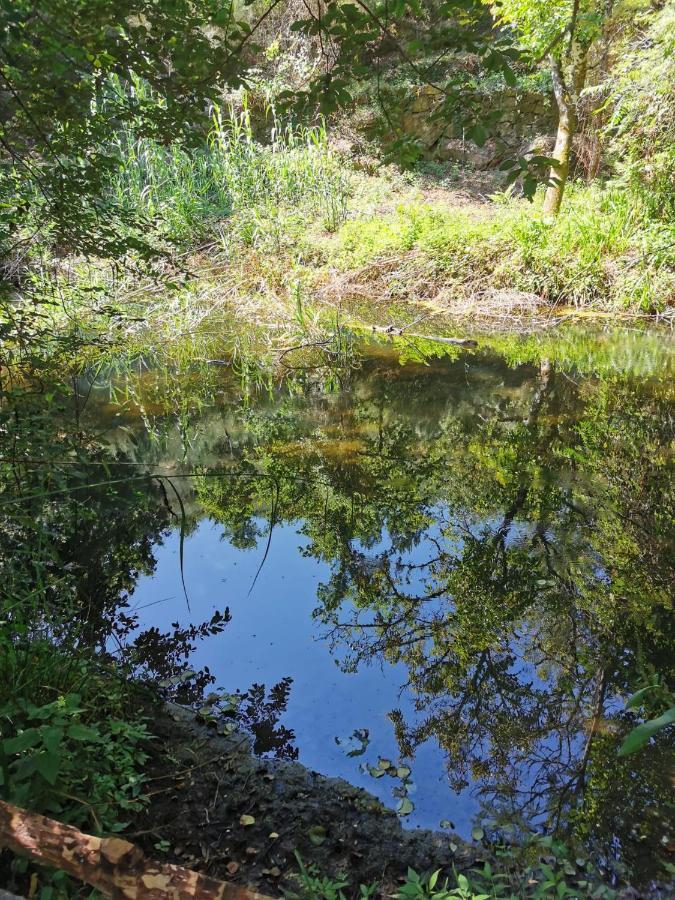 Willa O Refugio Coimbra Zewnętrze zdjęcie